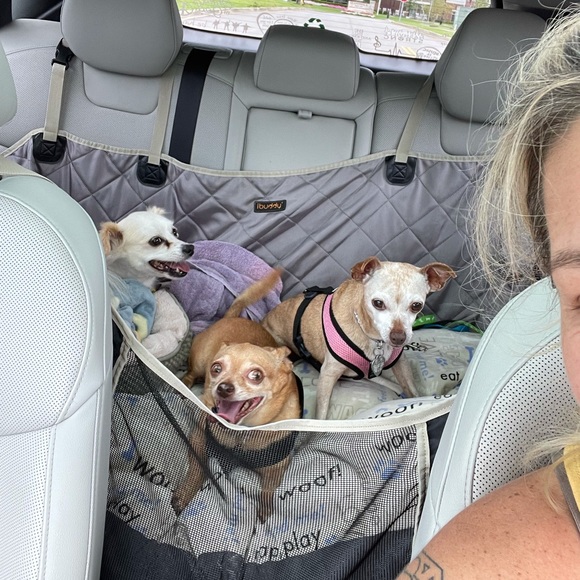 Meet your Posher, Kfhox! 🥰 - Picture 9 of 16